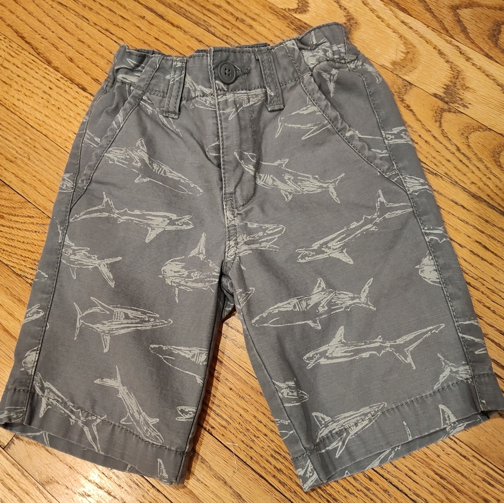 Gray Shark Print Shorts